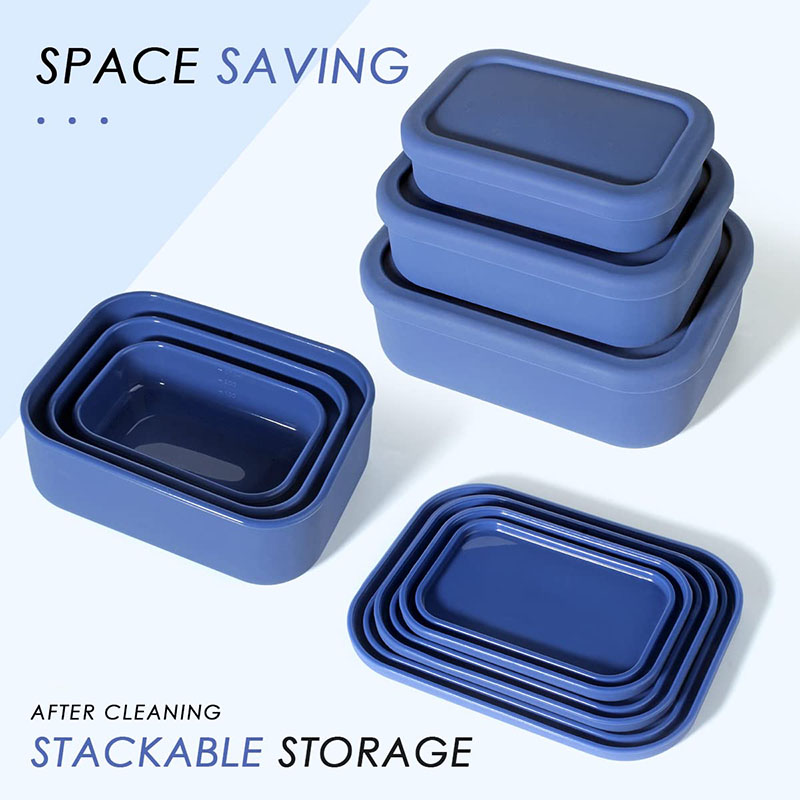Leak-Resistant Bento Lunch Box - Meal Prep List avis et prix