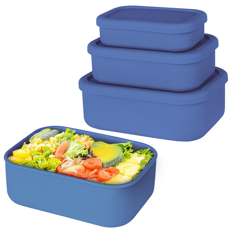 Leak-Resistant Bento Lunch Box - Meal Prep List avis et prix