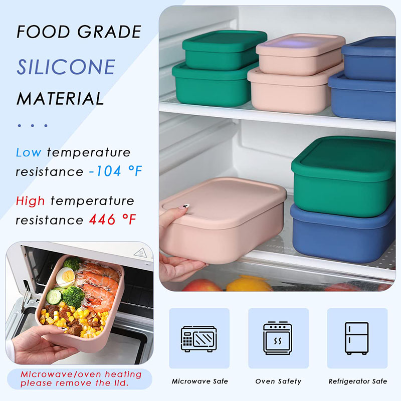 Leak-Resistant Bento Lunch Box - Meal Prep List avis et prix