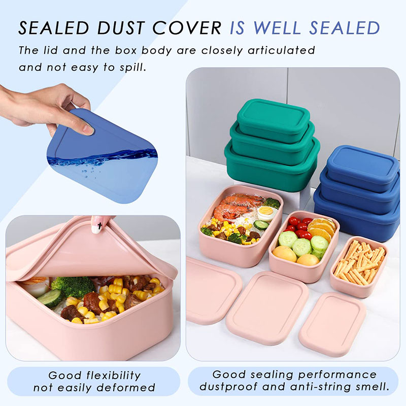 Leak-Resistant Bento Lunch Box - Meal Prep List avis et prix